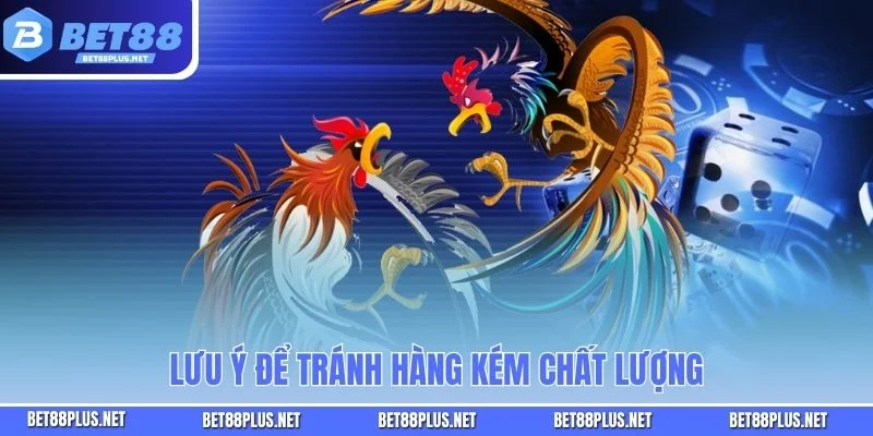 Chọn Gà Ngũ Sắc - Sở Hữu Chú Gà Đẹp Phong Thủy Và Giá Trị Cao Lưu ý để tránh hàng kém chất lượng