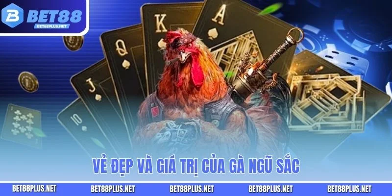 Chọn Gà Ngũ Sắc - Sở Hữu Chú Gà Đẹp Phong Thủy Và Giá Trị Cao Vẻ đẹp và giá trị của gà ngũ sắc